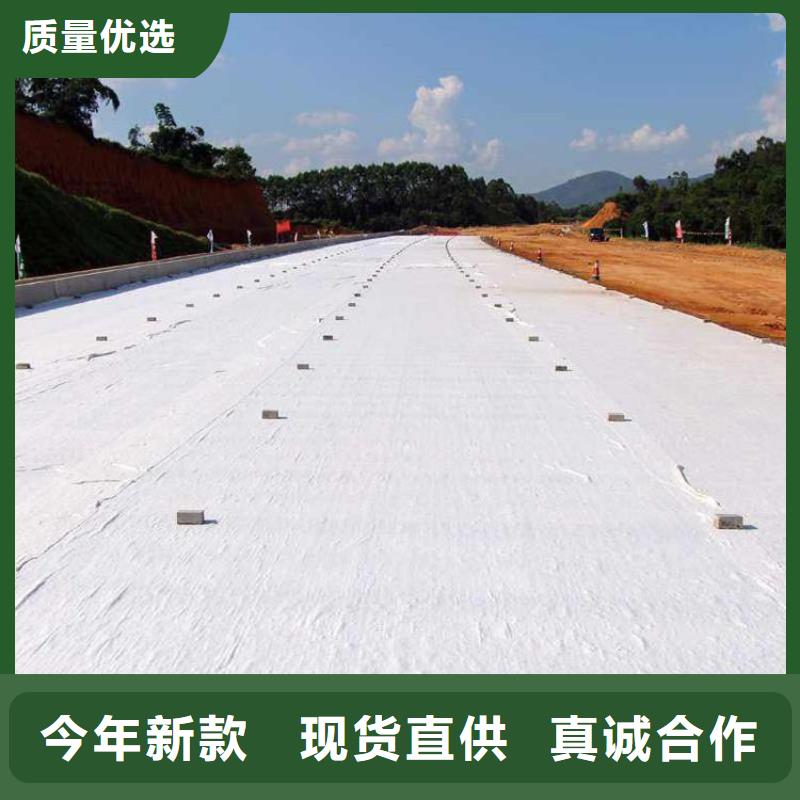 土工布土工膜工藝成熟