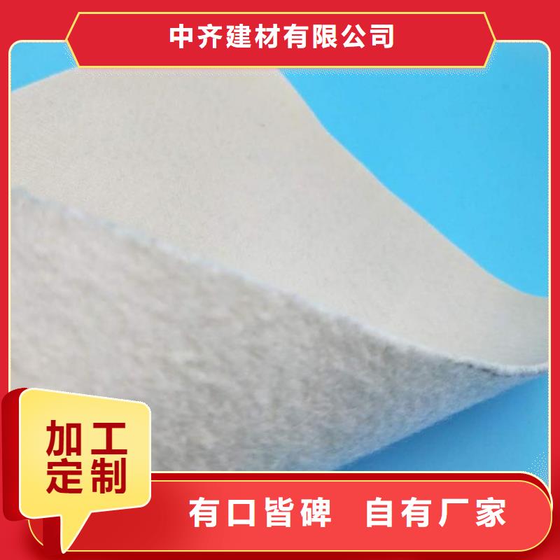 【土工布土工膜真正的源頭廠家】