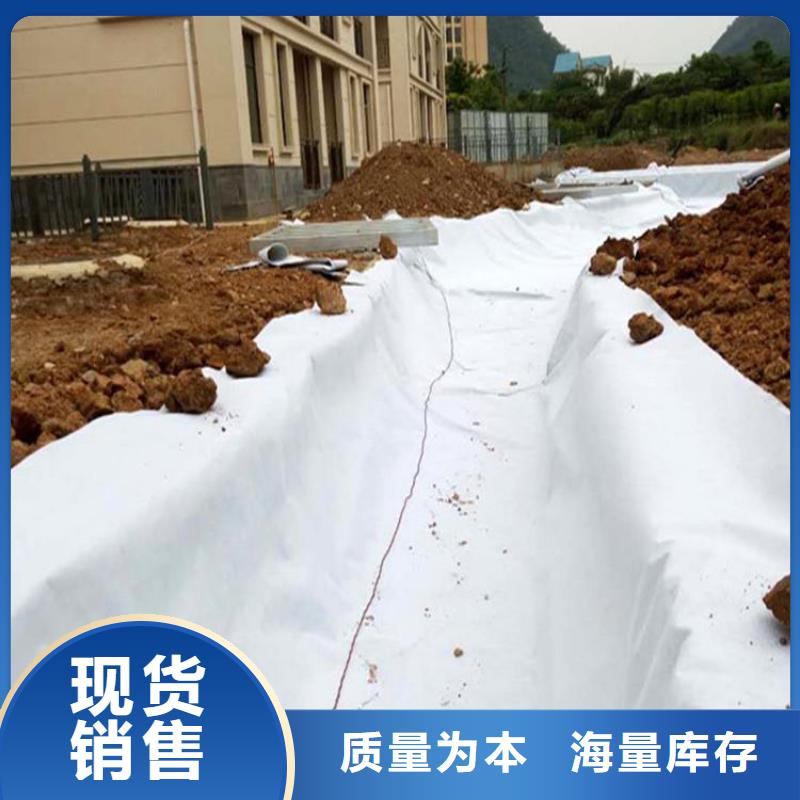 土工布滌綸格柵主推產(chǎn)品