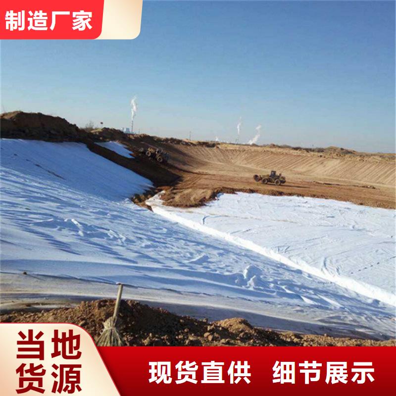 土工布滌綸格柵主推產品