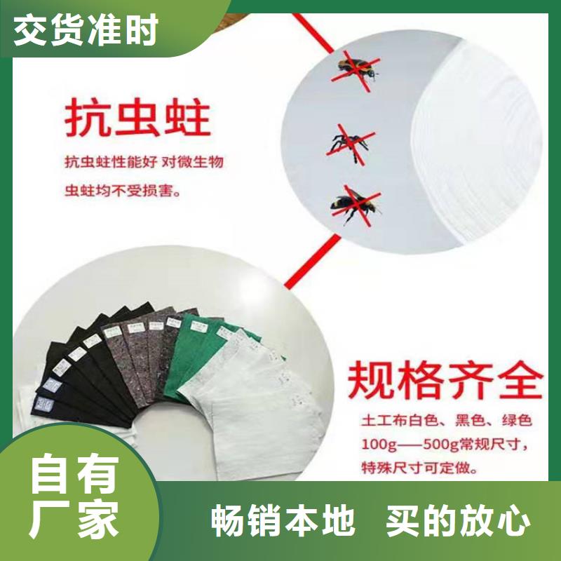 土工布双向塑料土工格栅甄选好厂家