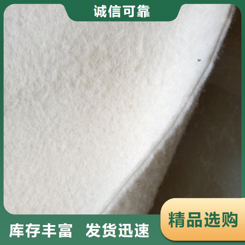土工布滌綸格柵主推產(chǎn)品
