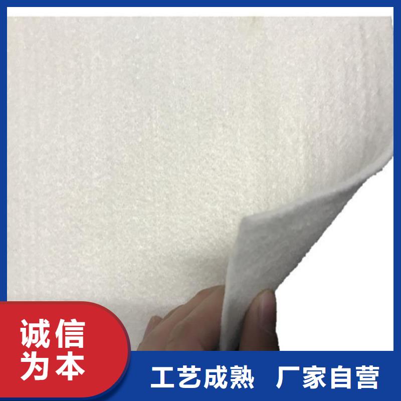 土工布HDPE土工膜買的放心安興用的舒心
