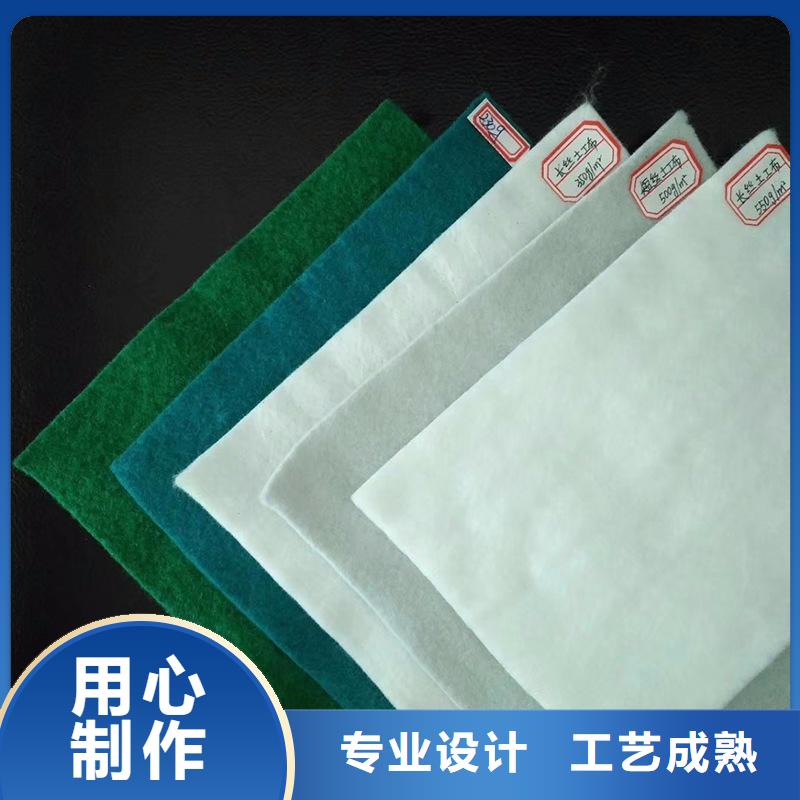 土工布滌綸格柵主推產(chǎn)品