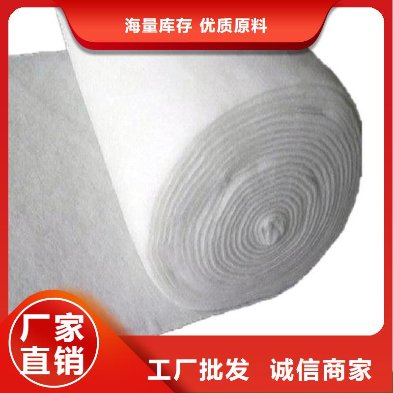 土工布滌綸格柵主推產品