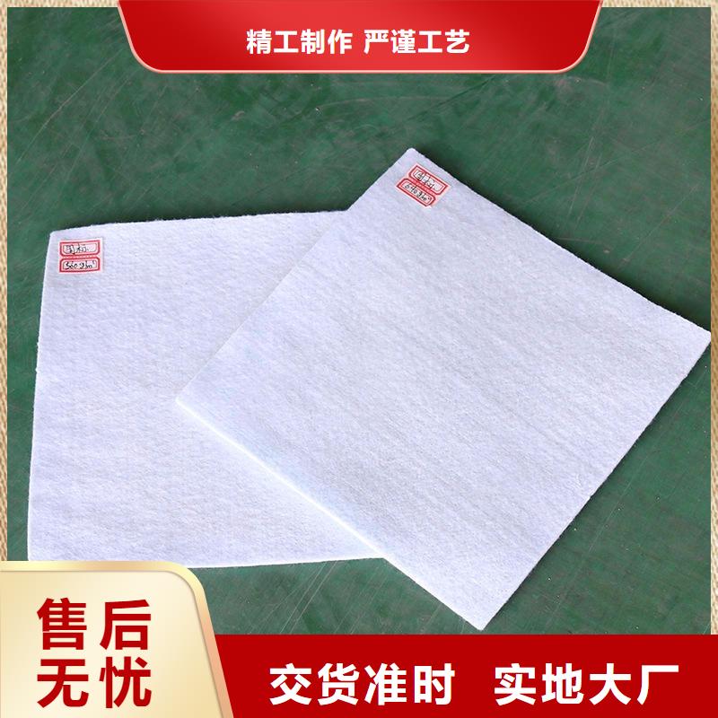 土工布滌綸格柵主推產品