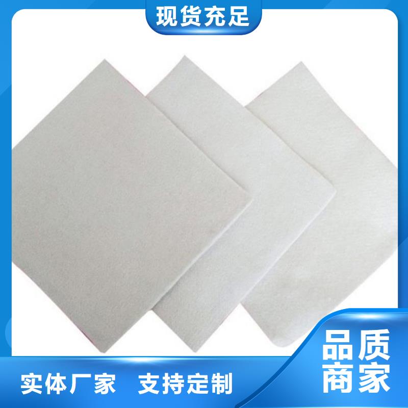 土工布滌綸格柵主推產品