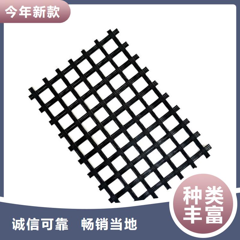 土工格柵雙向塑料土工格柵高質量高信譽