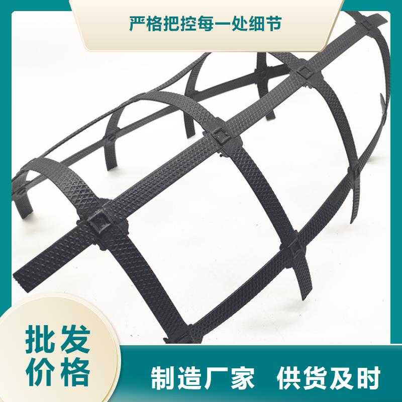 土工格柵雙向塑料土工格柵高質量高信譽