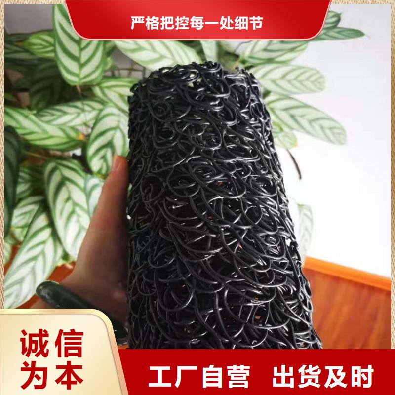 塑料盲溝拉筋帶廠家直營