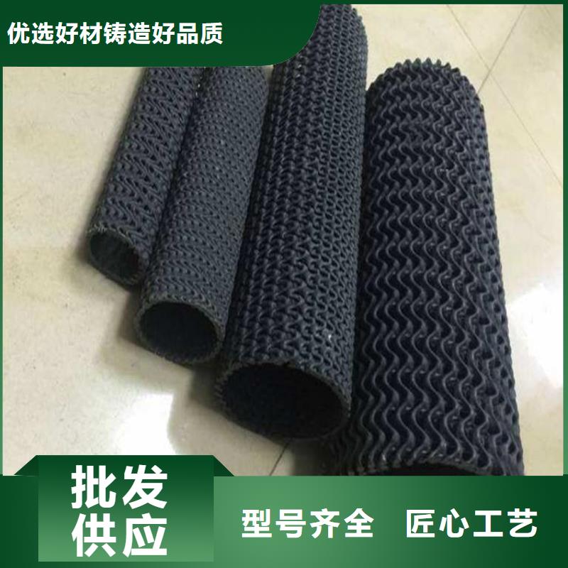 硬式透水管【單向塑料土工格柵】品質服務誠信為本