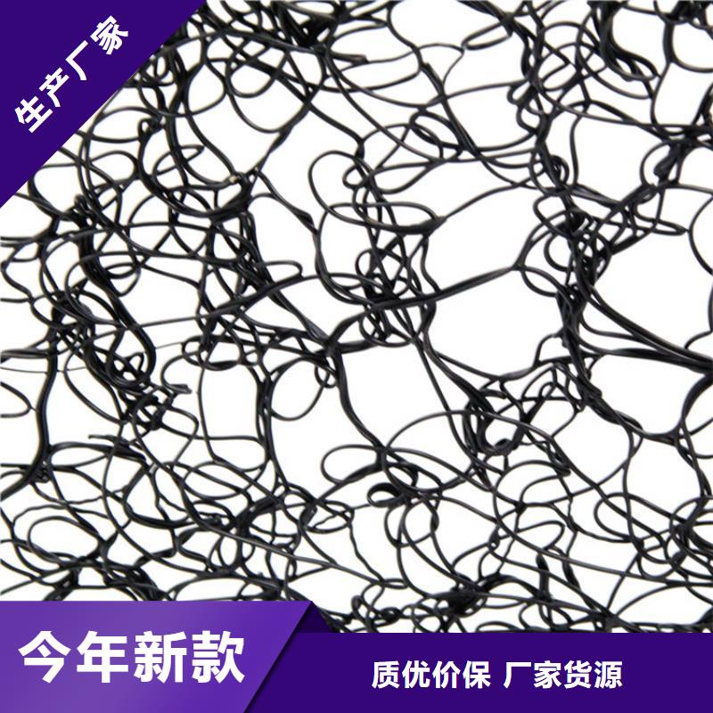 通風降噪絲網土工格柵貨源足質量好