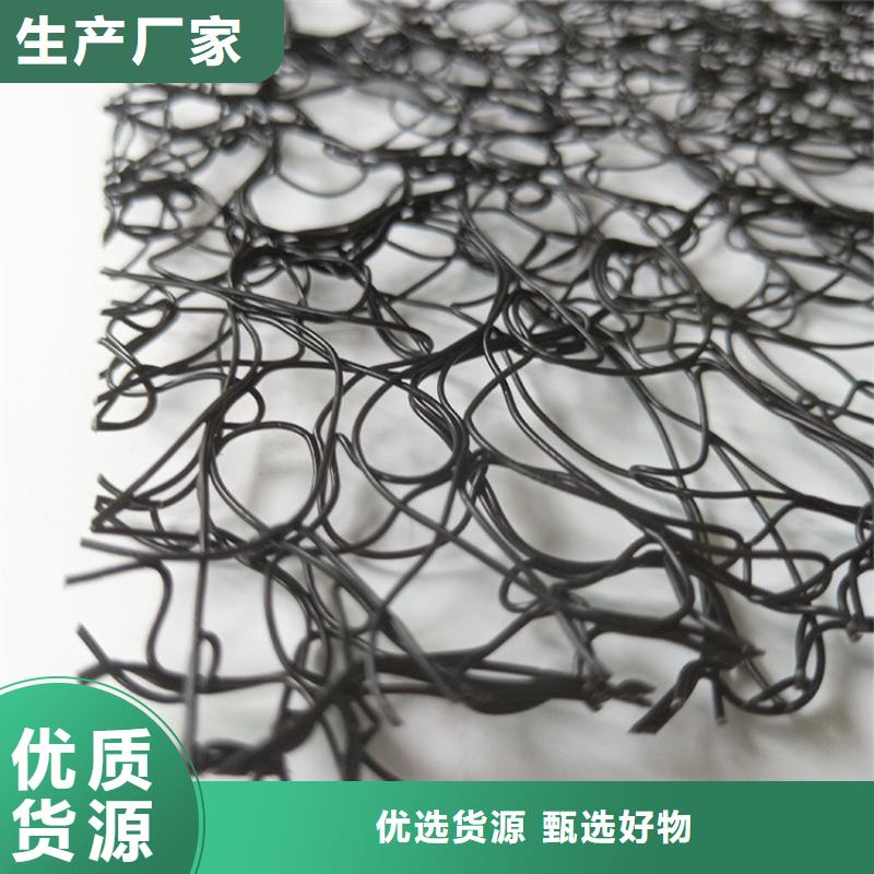通風降噪絲網雙向土工格柵免費寄樣