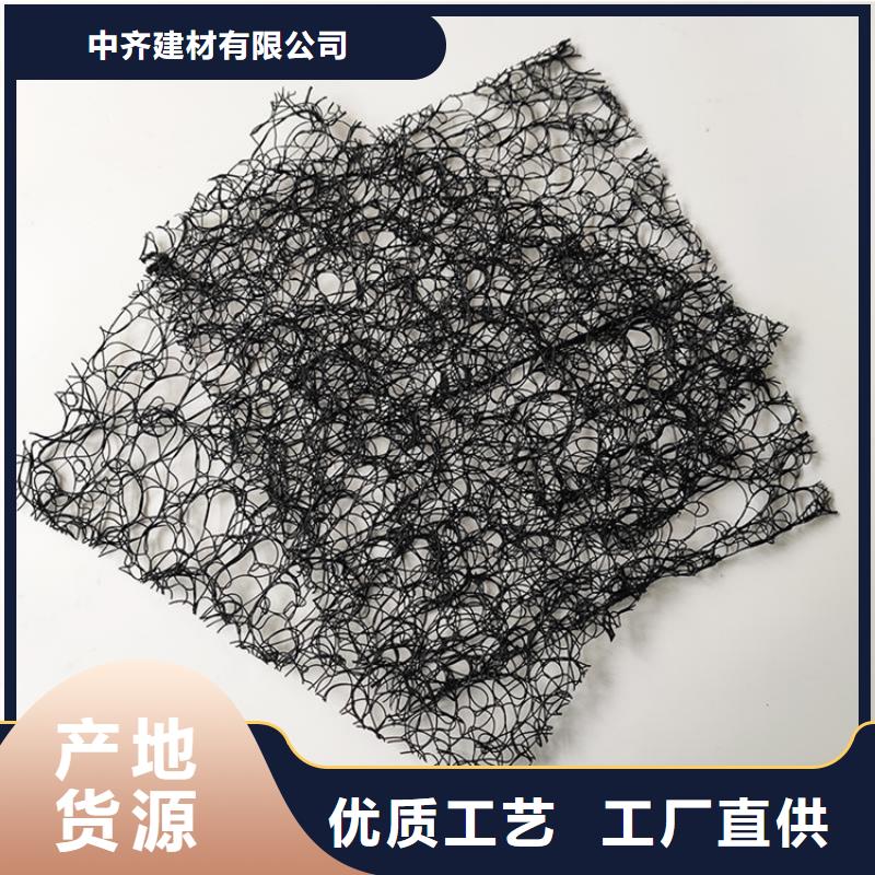 通風降噪絲網雙向土工格柵免費寄樣