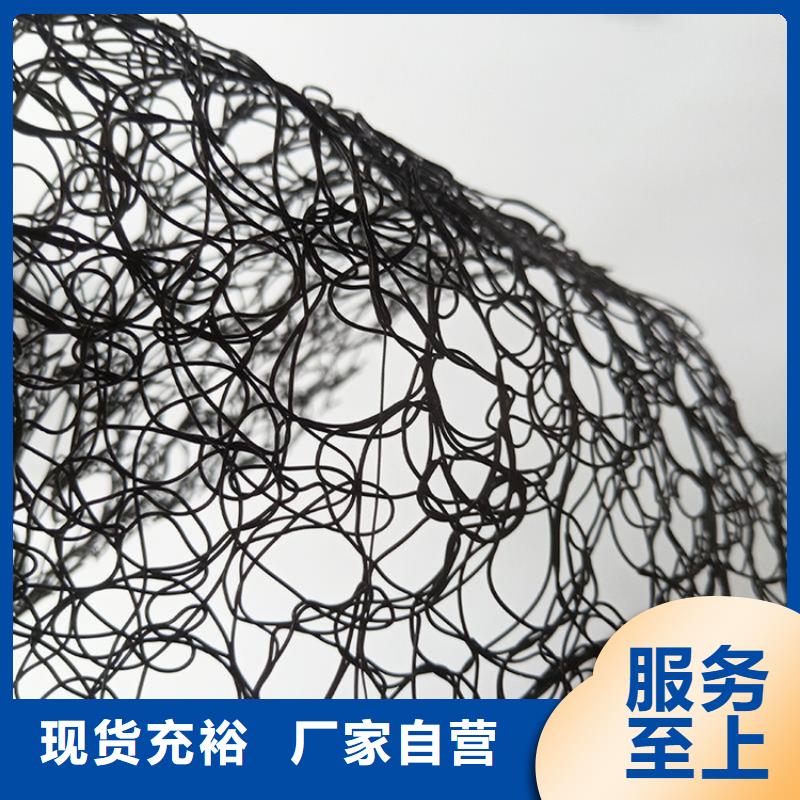 通風降噪絲網雙向土工格柵免費寄樣