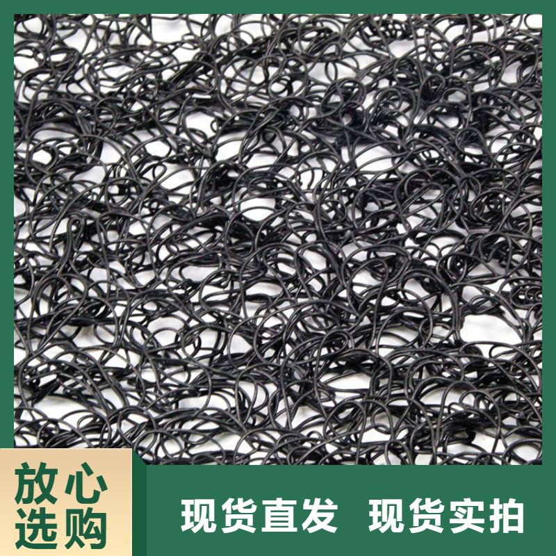 通風降噪絲網雙向土工格柵免費寄樣