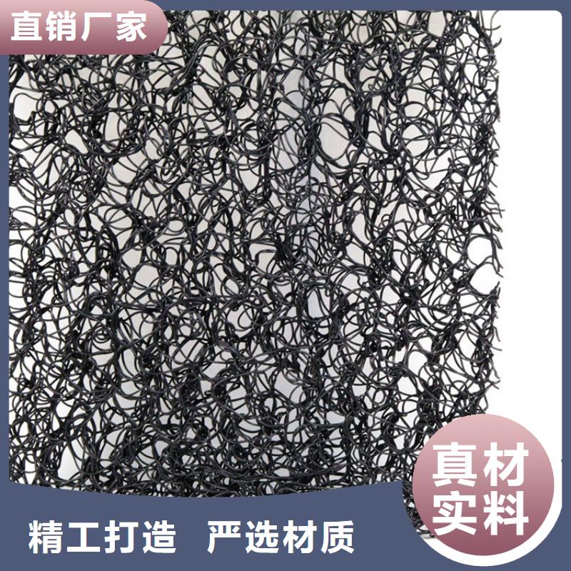 通風降噪絲網雙向土工格柵免費寄樣