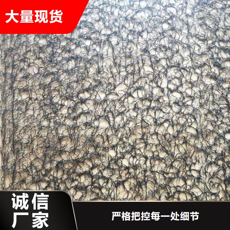 通風降噪絲網雙向土工格柵免費寄樣