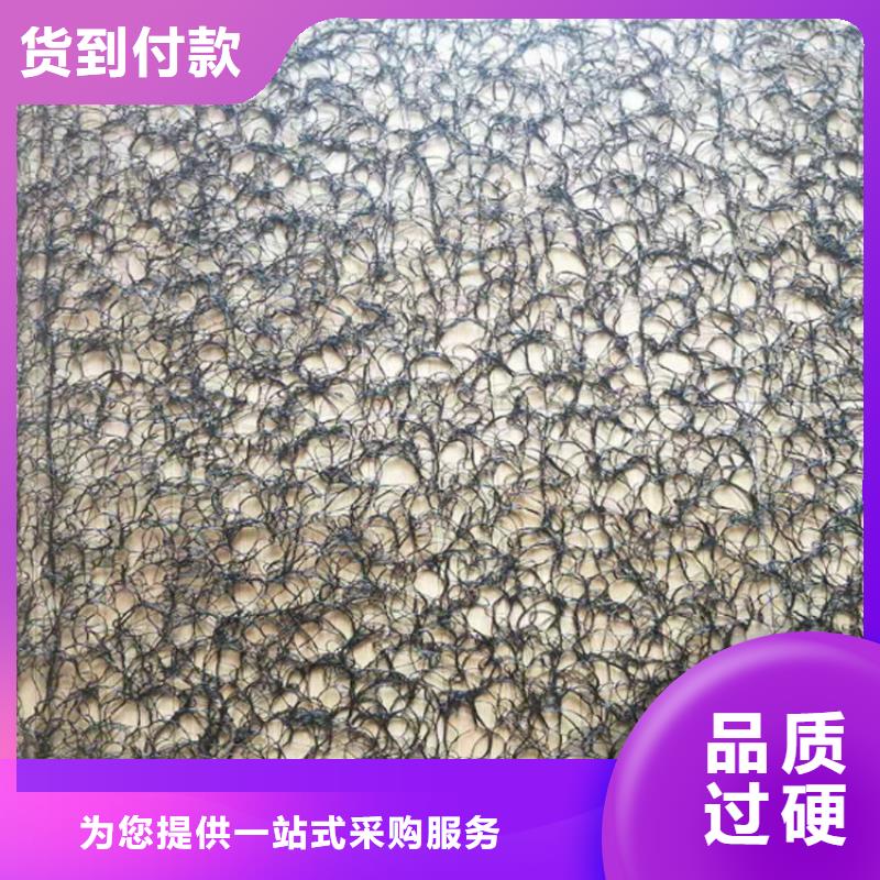 通風降噪絲網雙向土工格柵免費寄樣