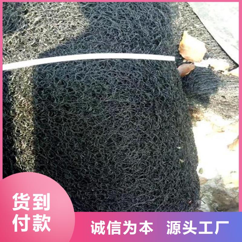 通風降噪絲網雙向土工格柵免費寄樣