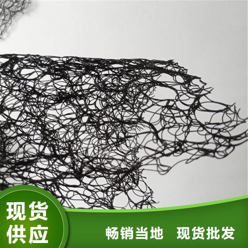 通風降噪絲網雙向土工格柵免費寄樣