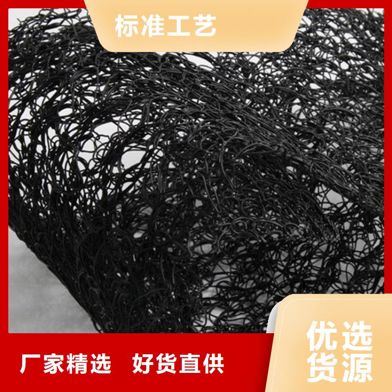 通風降噪絲網雙向土工格柵免費寄樣