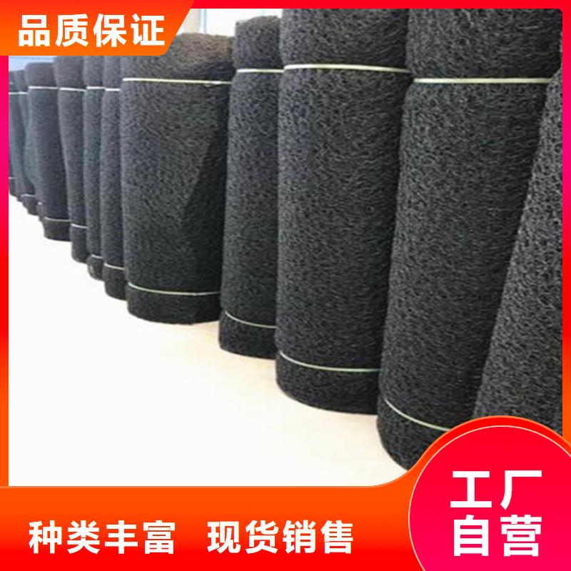 通風降噪絲網雙向土工格柵免費寄樣