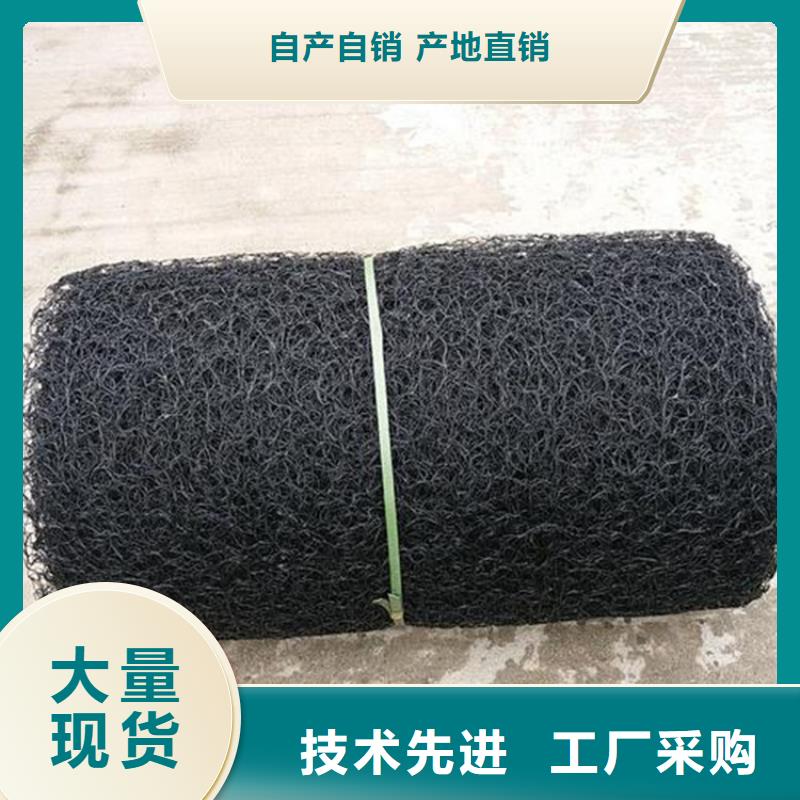 通風降噪絲網雙向土工格柵免費寄樣