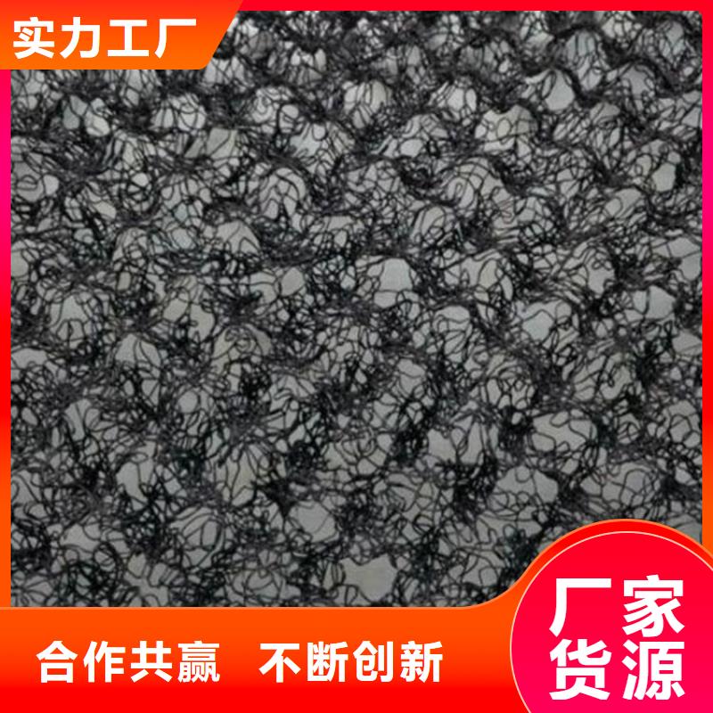 水土保護(hù)毯塑料玻纖格柵價格低