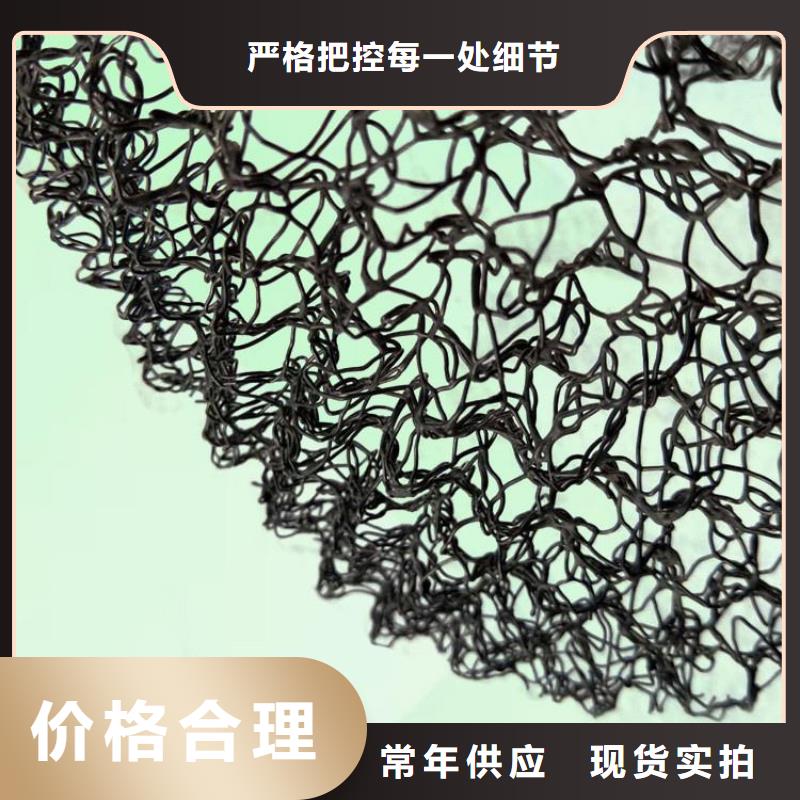 水土保護(hù)毯塑料玻纖格柵價(jià)格低