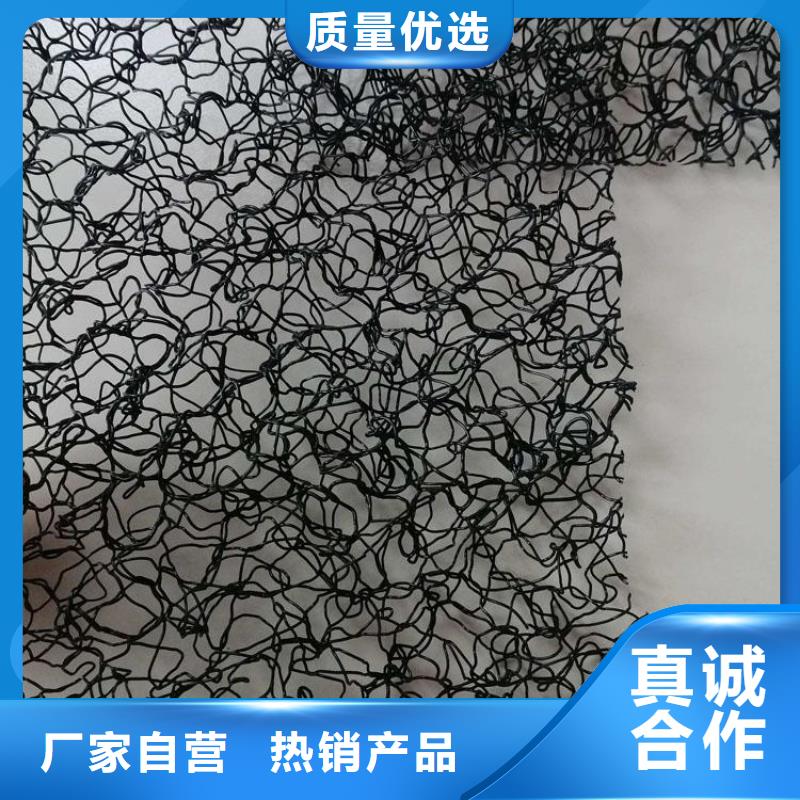 水土保護毯塑料玻纖格柵價格低