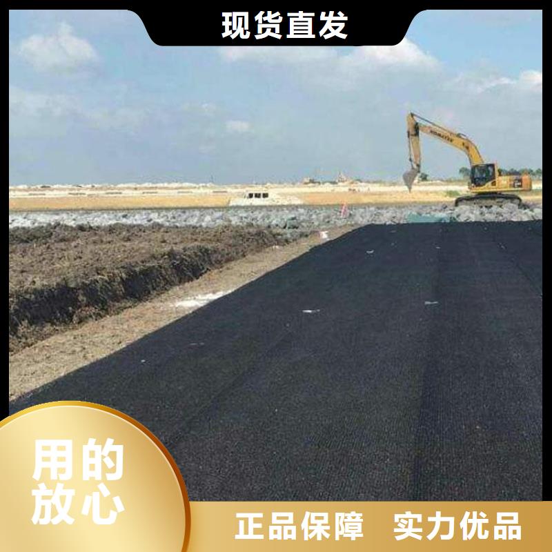 【水土保護毯土工格柵現(xiàn)貨銷售】