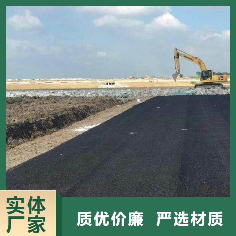 水土保護(hù)毯塑料玻纖格柵價格低
