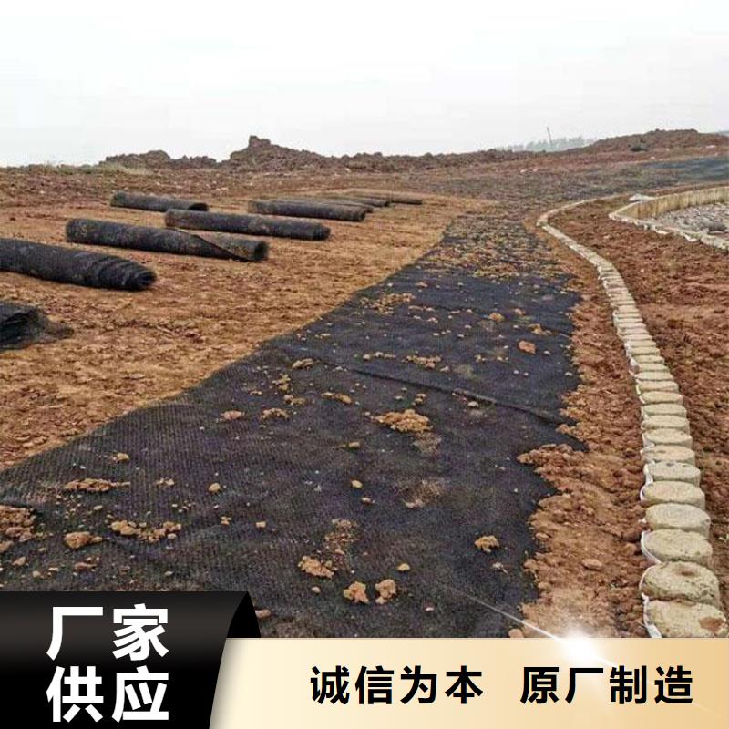 水土保護(hù)毯短纖無紡?fù)凉げ紡S家銷售