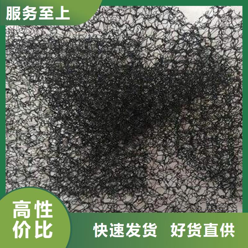 水土保護(hù)毯塑料玻纖格柵價格低