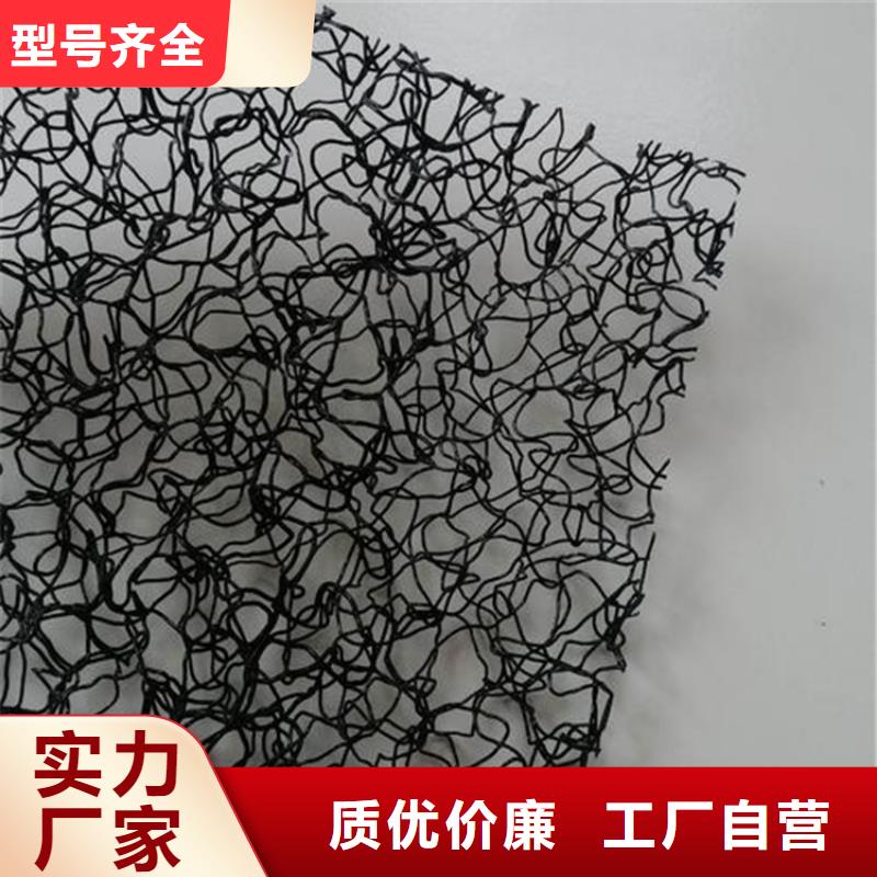 水土保護(hù)毯土工格柵質(zhì)保一年