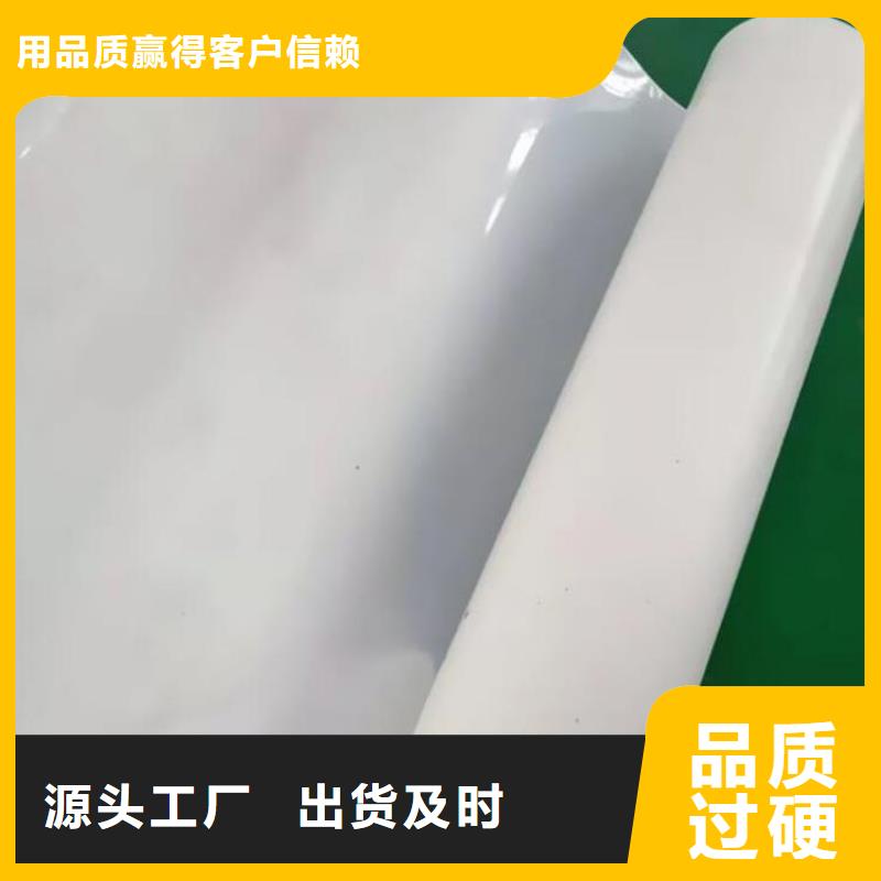 【防水板】土工格柵精心