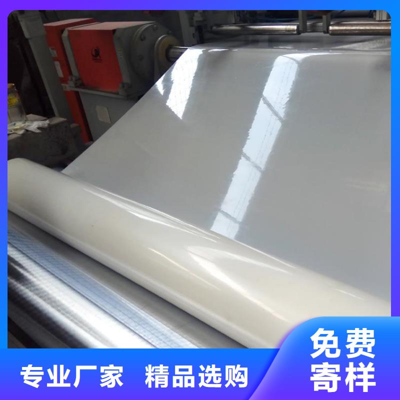 防水板防滲膜支持定制加工