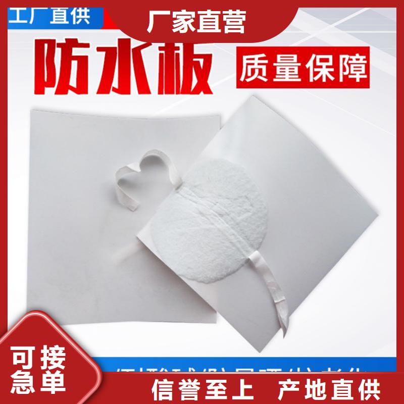 【防水板】土工格柵精心