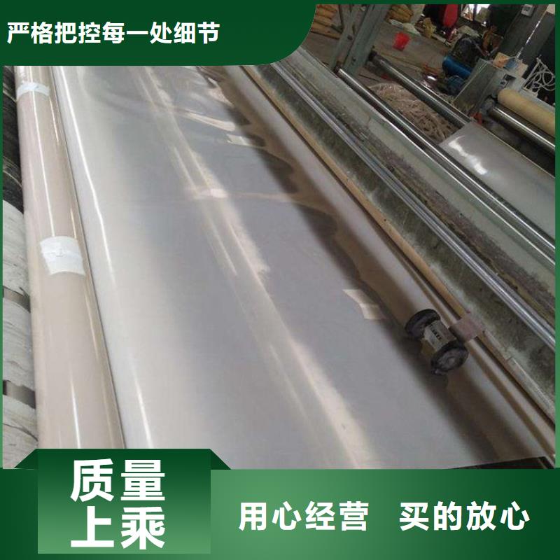 防水板HDPE土工膜廠家直銷直供