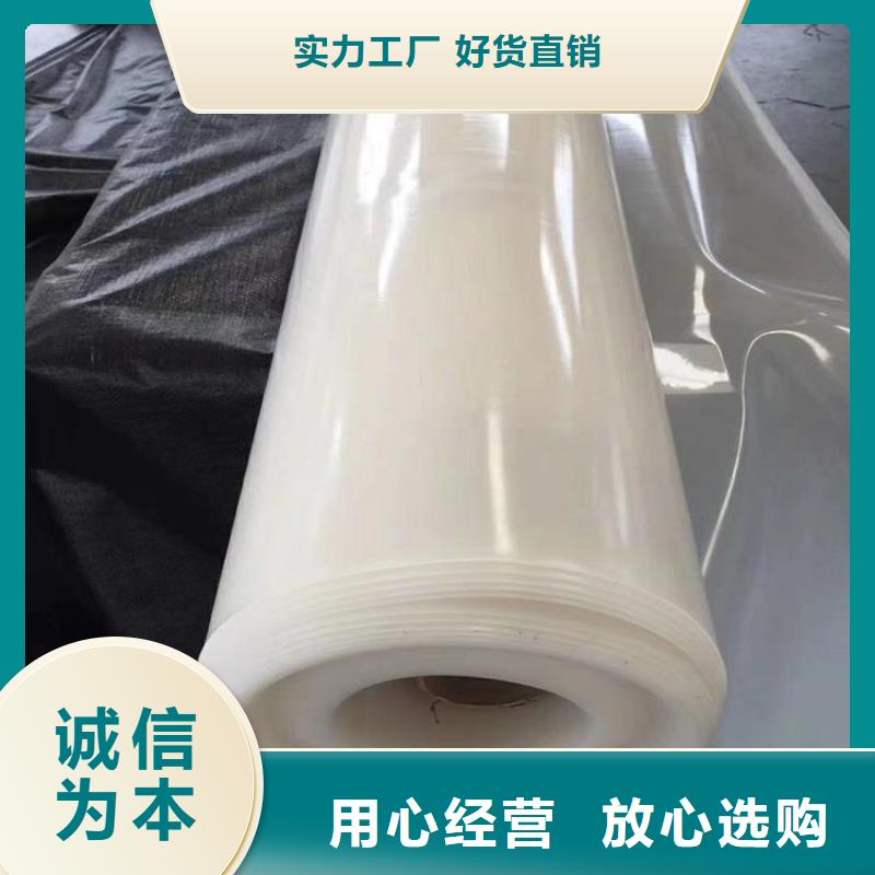 【防水板】土工格柵精心