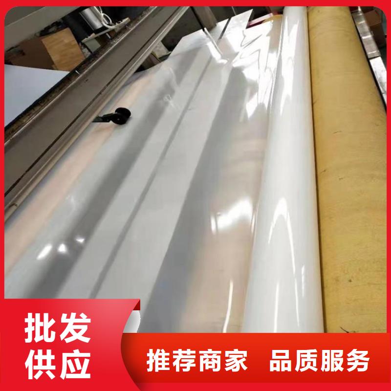 【防水板】土工格柵精心