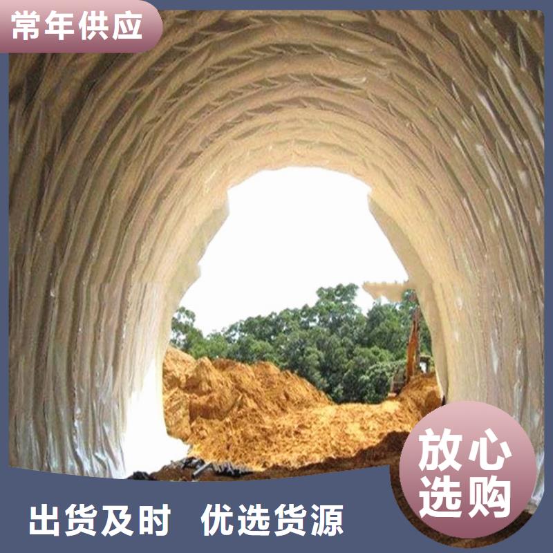【防水板】土工格柵精心