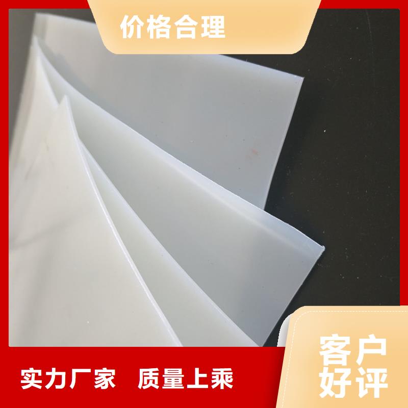 【防水板】土工格柵精心