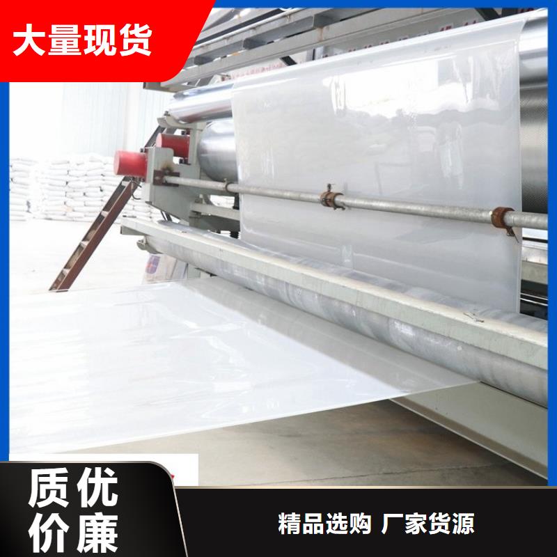 防水板_防滲膜品質(zhì)優(yōu)良