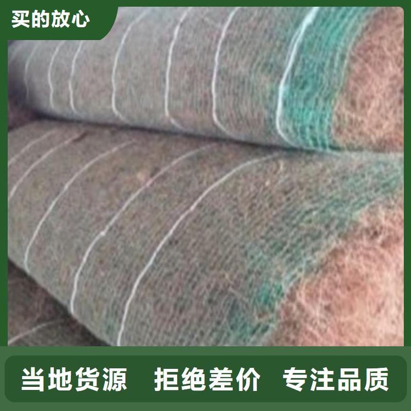 椰絲毯【鋼塑土工格柵】暢銷當(dāng)?shù)?>
				 
					                           <!--  判斷下如果客戶有視頻，顯示這段-->
                        <div   id=