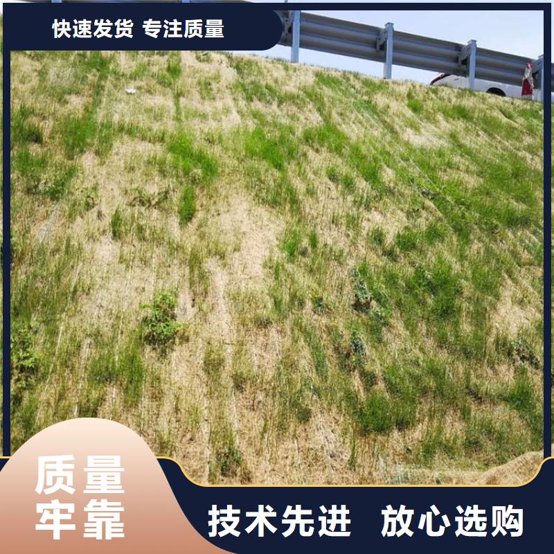 【椰絲毯】土工布多種工藝