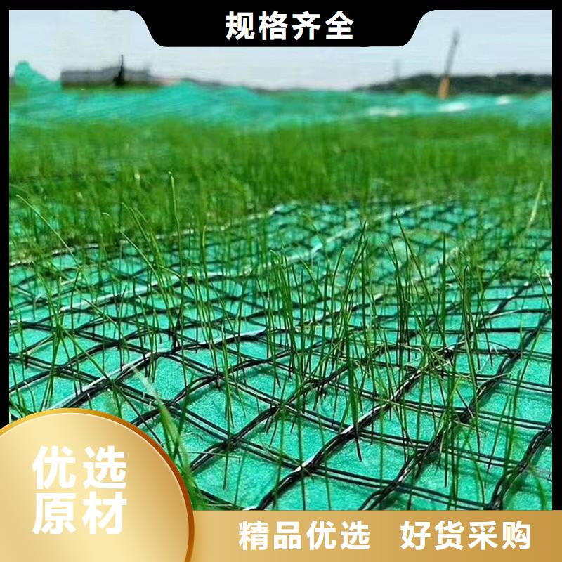 椰絲毯土工布質量無憂
