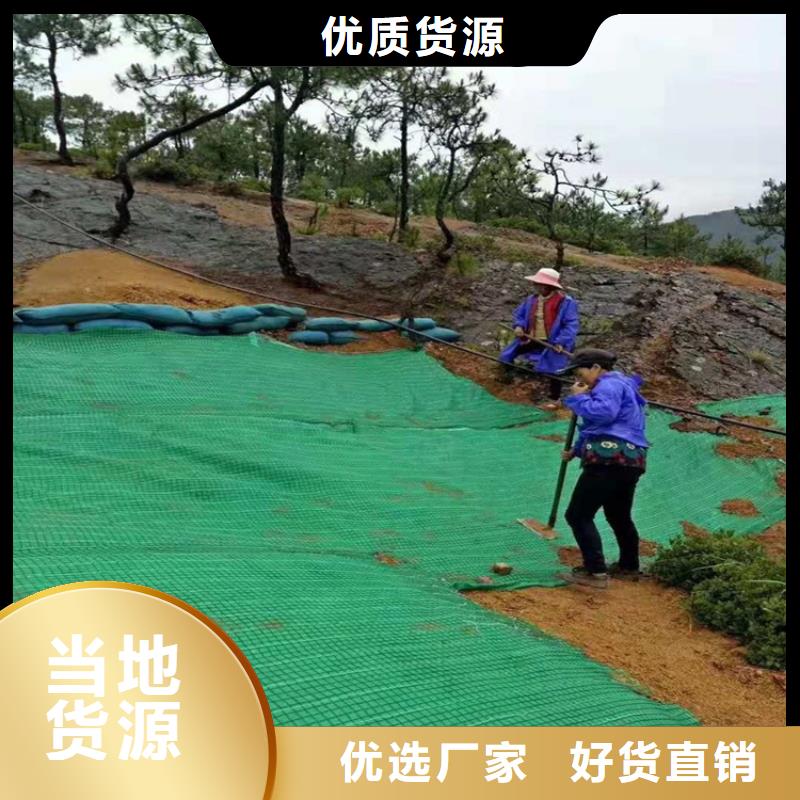 椰丝毯通风降噪丝网本地配送