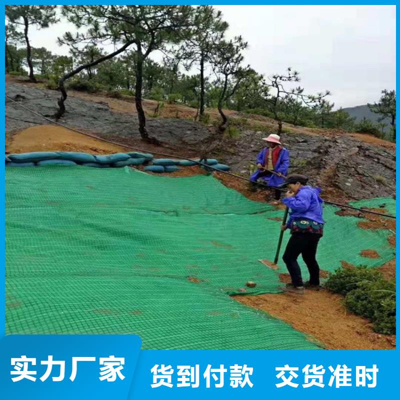 【椰丝毯】双向土工格栅支持大小批量采购